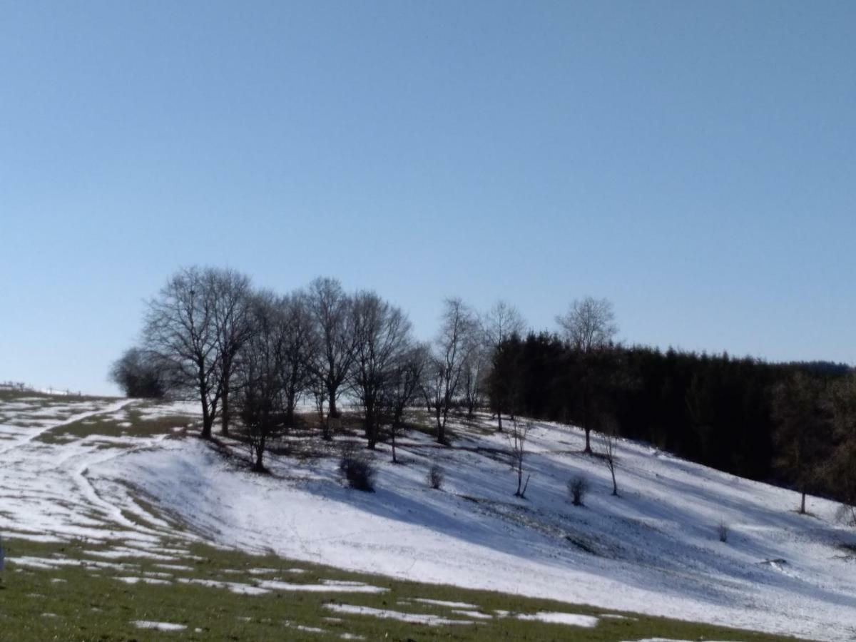 Oh Deer! Apartamento Vaux-sur-Sure Exterior foto